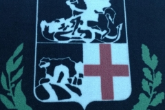 Tappeto asciugapasso personalizzato stampato modello hd - #1461