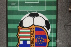 Tappeto asciugapasso personalizzato stampato modello hd - #1705