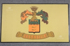 Tappeto asciugapasso personalizzato stampato modello hd - #1739