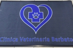 Tappeto asciugapasso personalizzato stampato modello hd - #1914