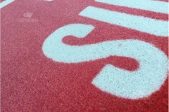 Tappeto asciugapasso personalizzato stampato modello promo - #1524