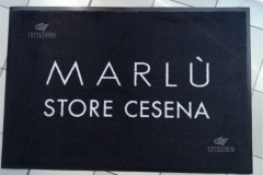 Tappeto asciugapasso personalizzato stampato modello quality - #1472