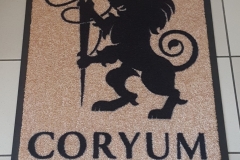 Tappeto asciugapasso personalizzato  stampato modello Premium - #1265