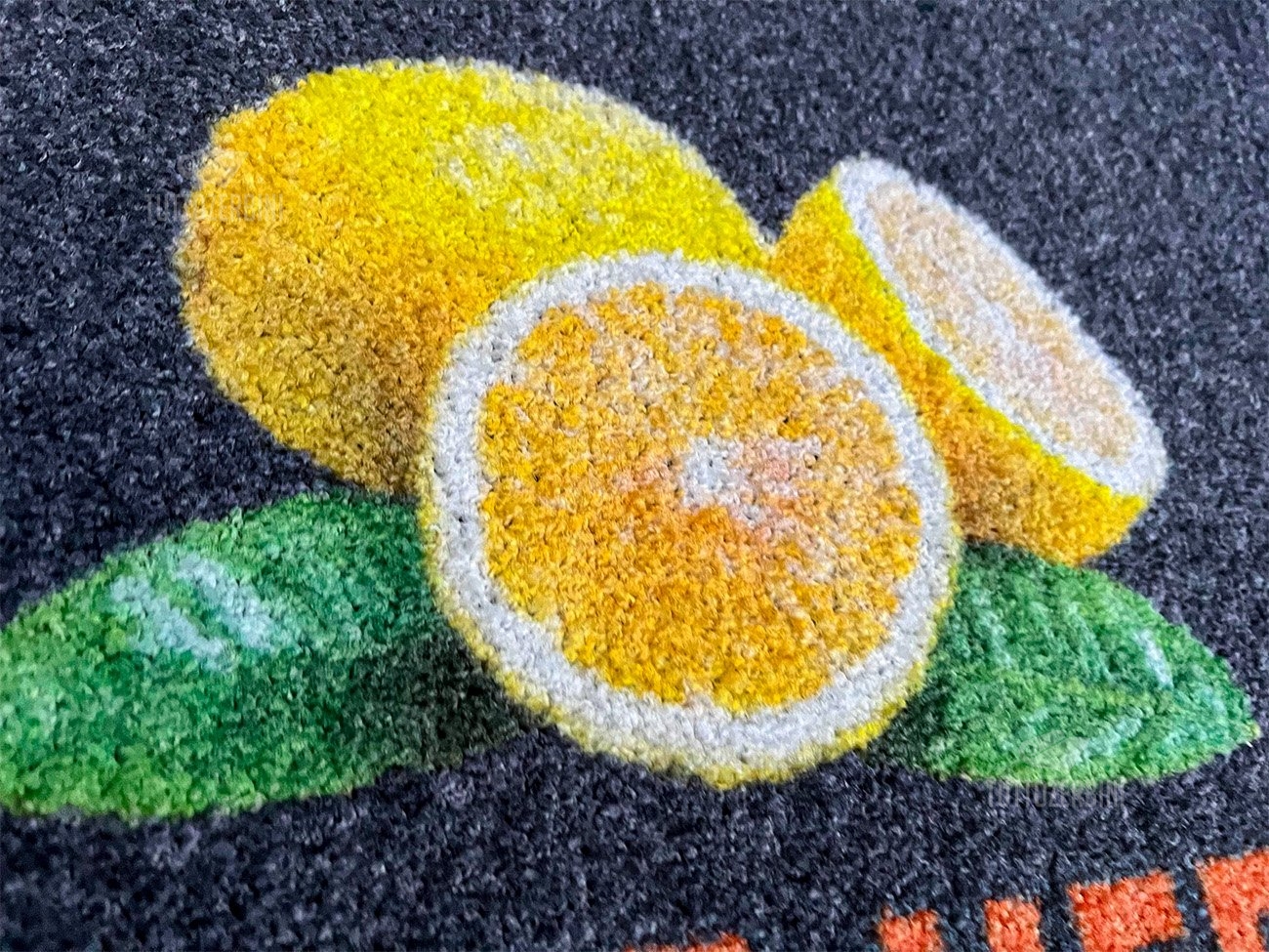 Tappeto asciugapasso personalizzato stampato modello quality - #6751