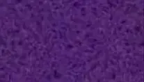 Lavanda