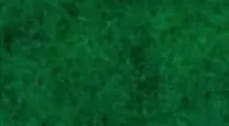 Prato