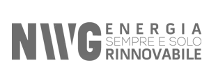 Logo Nwg